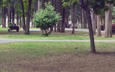 Visoke temperature i suša ostavljaju posljedice na zelene površine u Trebinju