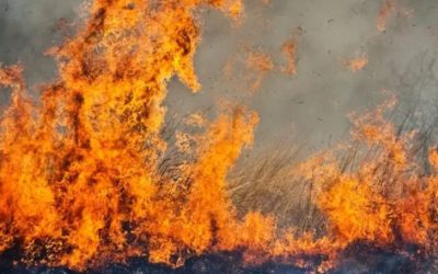 Požar na 150 metara od kuća u selu Žakovo kod Trebinja; Dejstvuje helikopter MUP-a Srpske (FOTO/VIDEO)